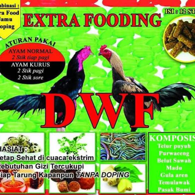 JAMU, EXTRA FOODING DAN DOPING DWF AYAM LAGA LENGKAP