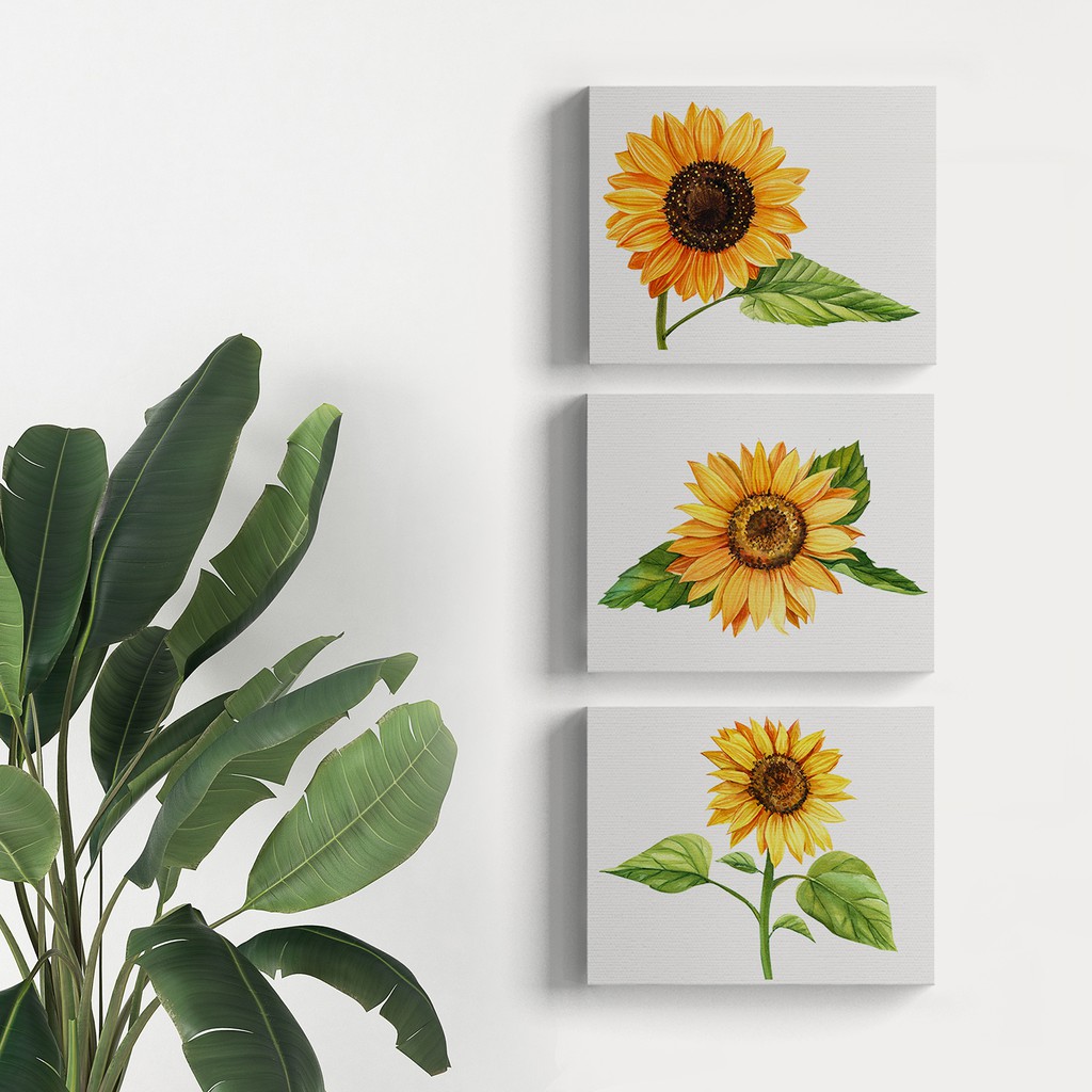 Lukisan Dekorasi Sunflower Poster Kanvas Hiasan Dinding Bunga Matahari 20x25cm Shopee Indonesia