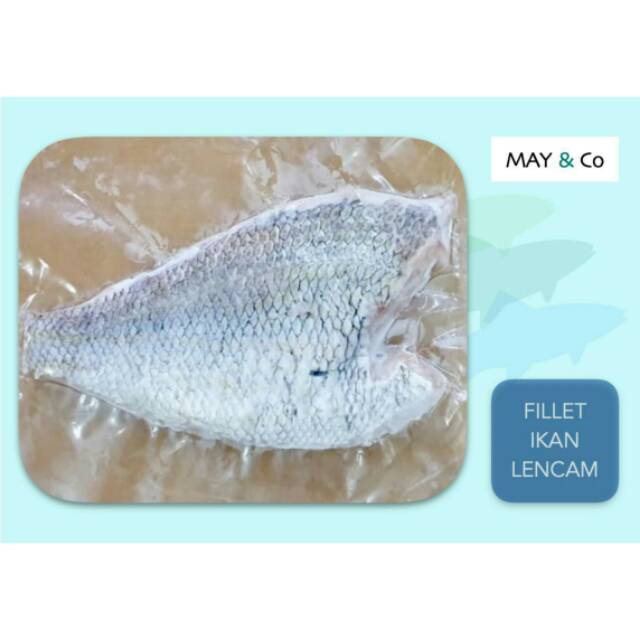 

FILLET IKAN LENCAM