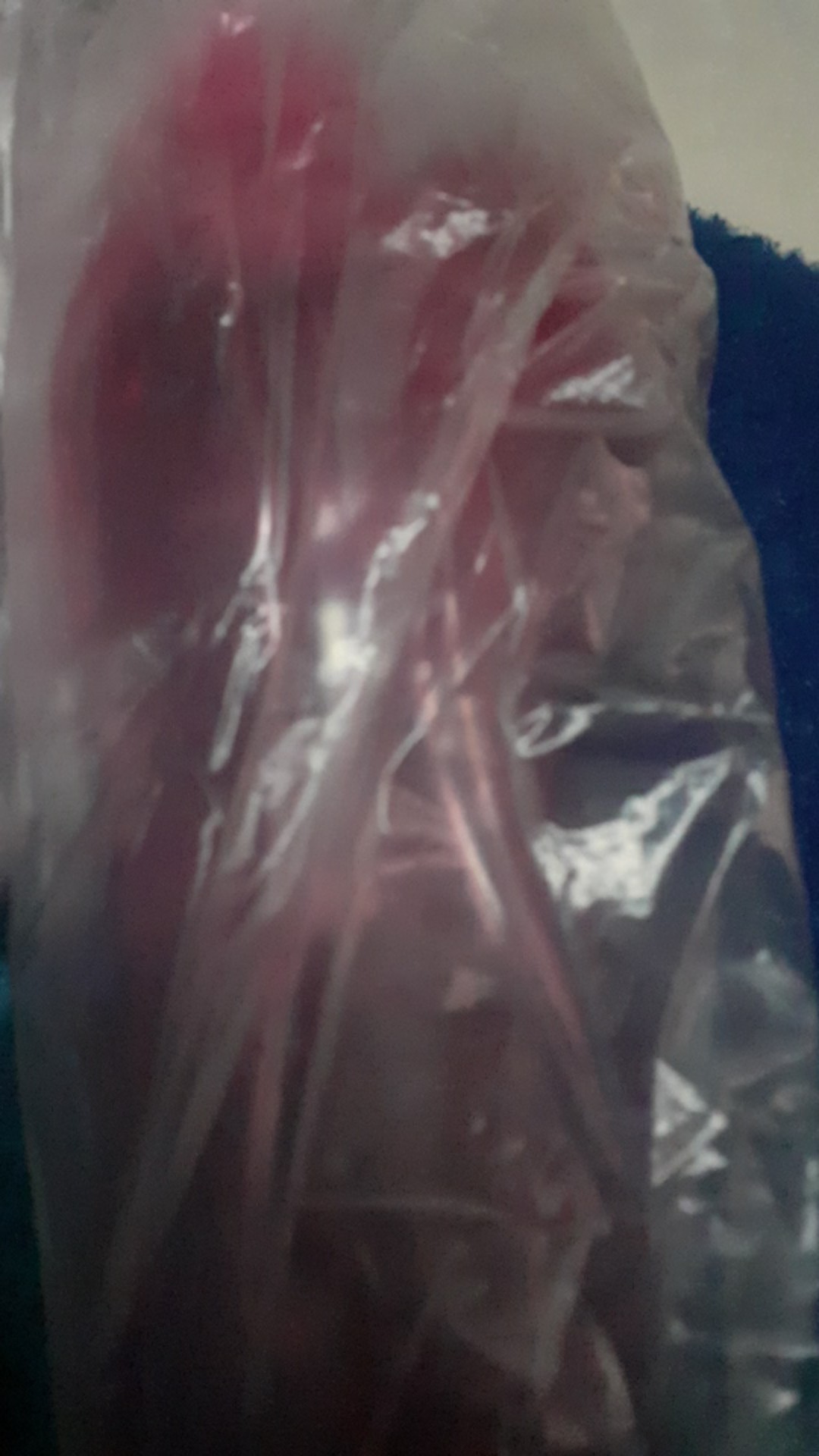 Tas Cool Teen Coolteen Lunchbox  Pujilestari.tupper