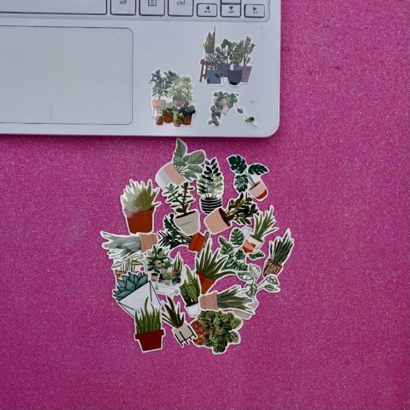 

(30pcs) STICKER TUMBLR PLANTS