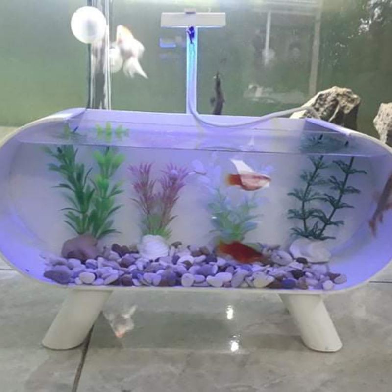 aquarium mini ikan hias full aksesoris