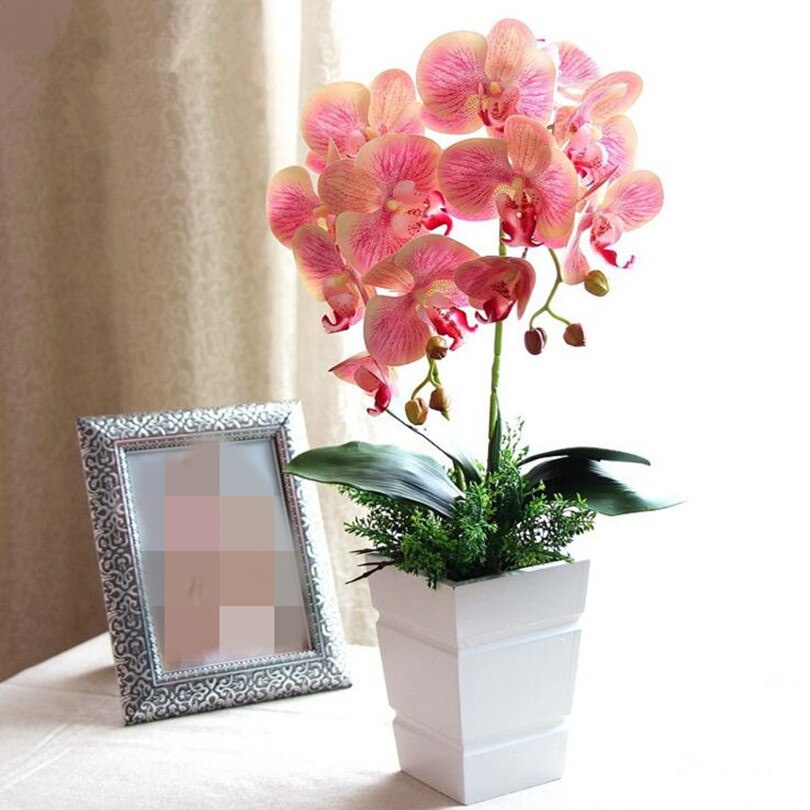 Naindo Anggrek Cymbidium hiasan ruang tamu & kantor- bunga meja- bunga sudut
