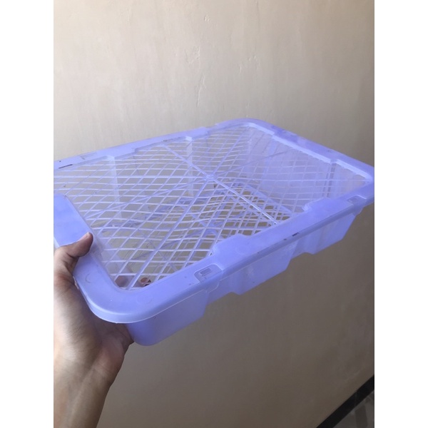 Keranjang Buah Leci Keranjang Plastik Buah