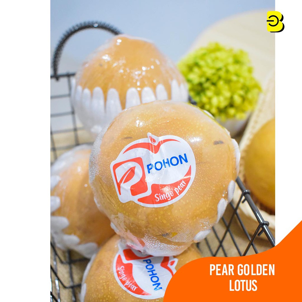

BUAH PEAR GOLDEN LOTUS | PEAR GOLDEN MANIS | BUAH PEAR MANIS SEGAR