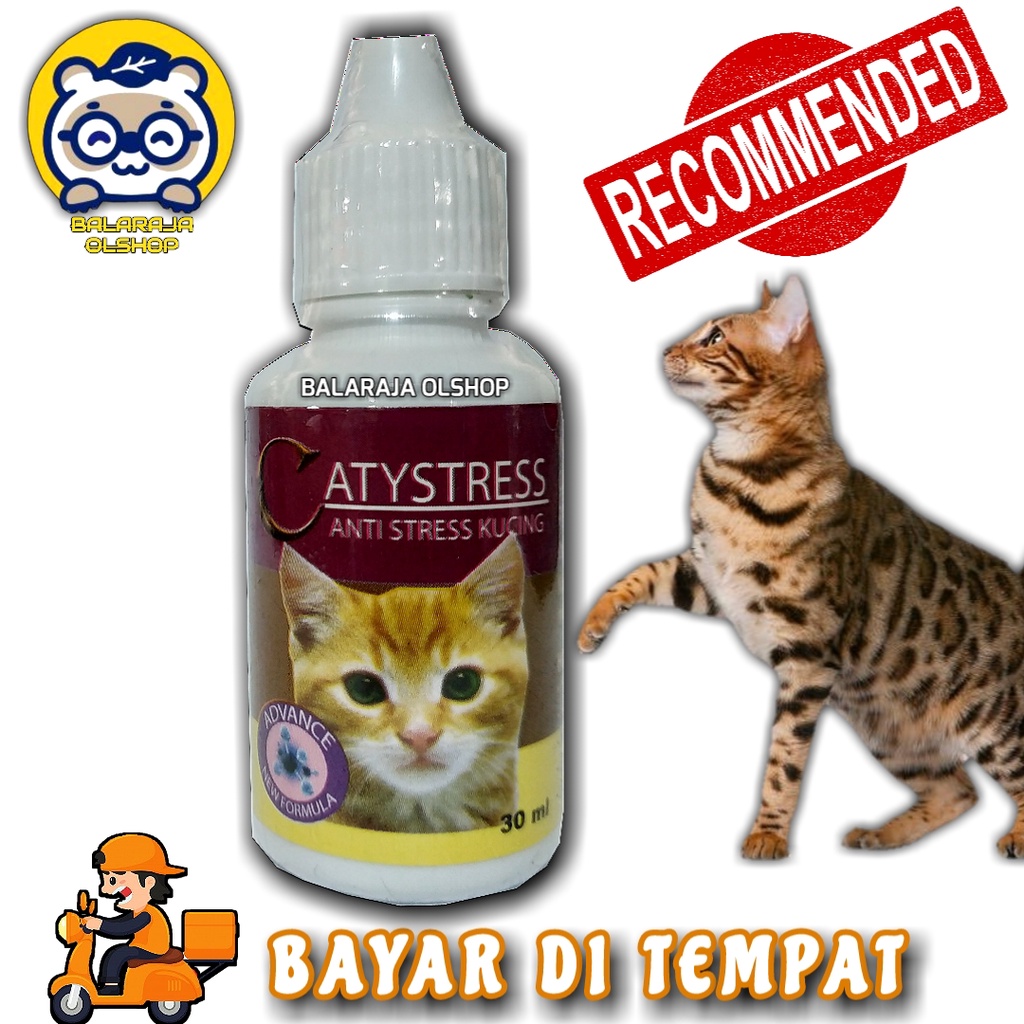 OBAT KUCING STRESS MABOK PERJALANAN - CATYSTRESS