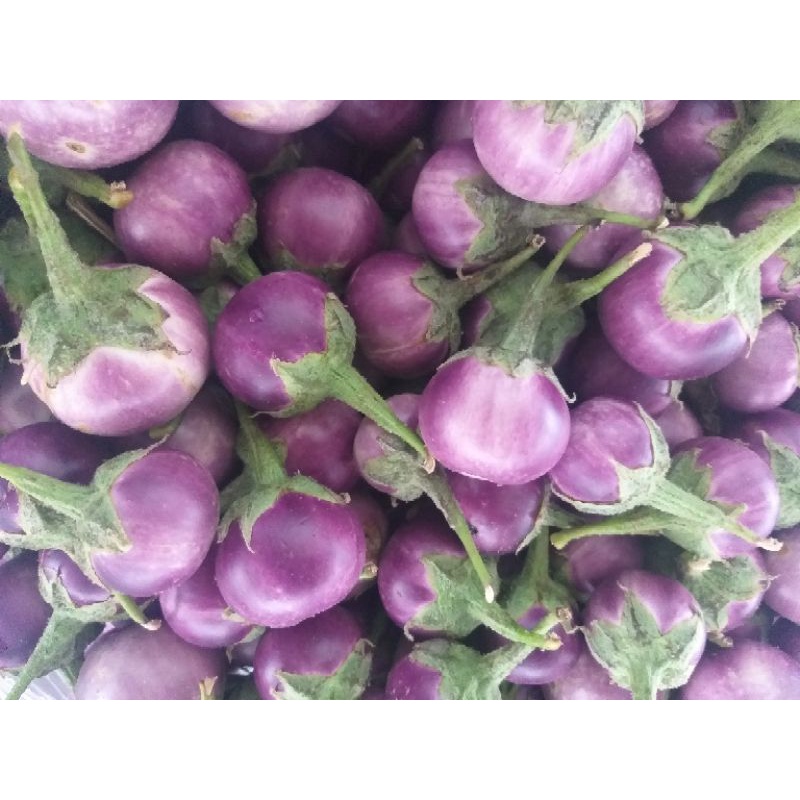 

Terong ungu lalap 500 gr