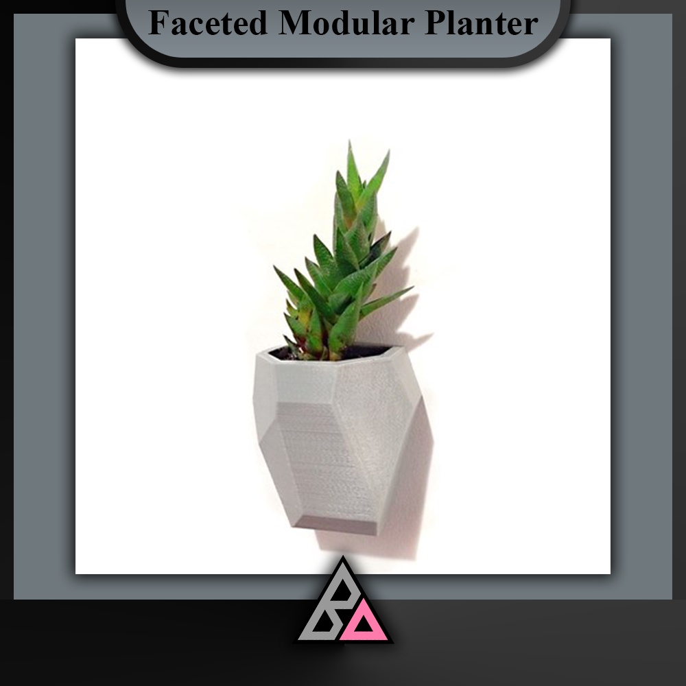 Pot Gantung Tanaman Hias Sukulen Kaktus