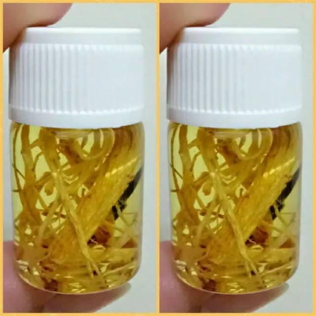 MINYAK BULUS PAPUA GINSENG ( PEMBESAR PAYUDARA & PENIS )