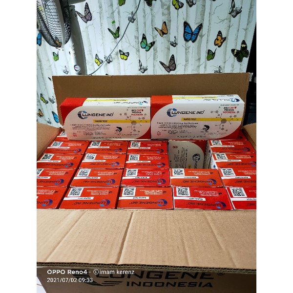 1 box Antigen swab Hi.dung READY