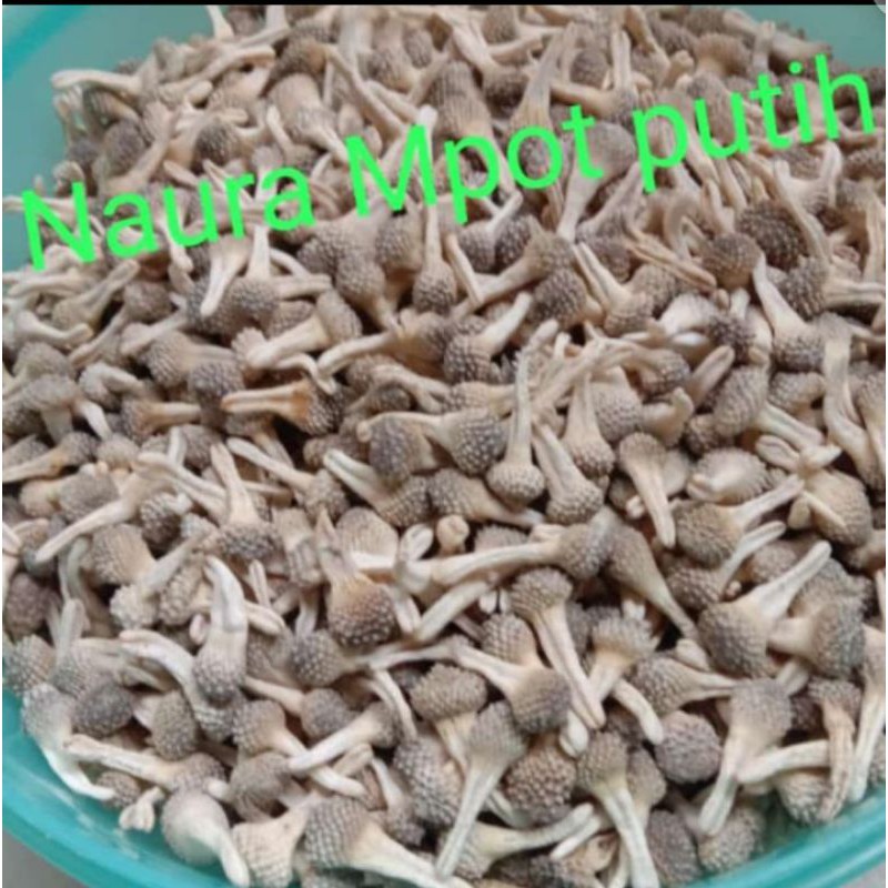 Empot Mpot Putih Naura Satuan Butiran Asli 100%
