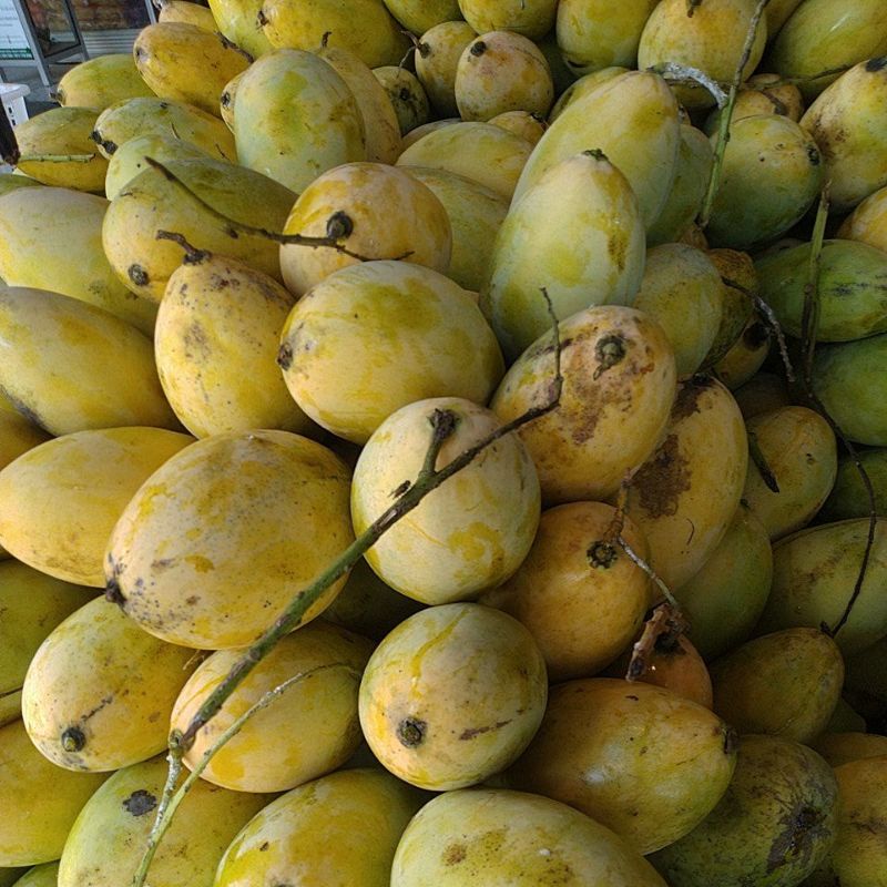 

MANGGA THAILAND/kg
