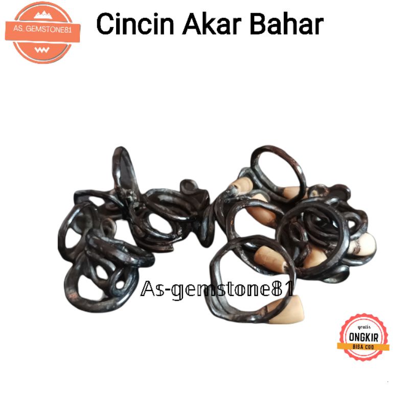 CINCIN AKAR BAHAR HITAM ASLI