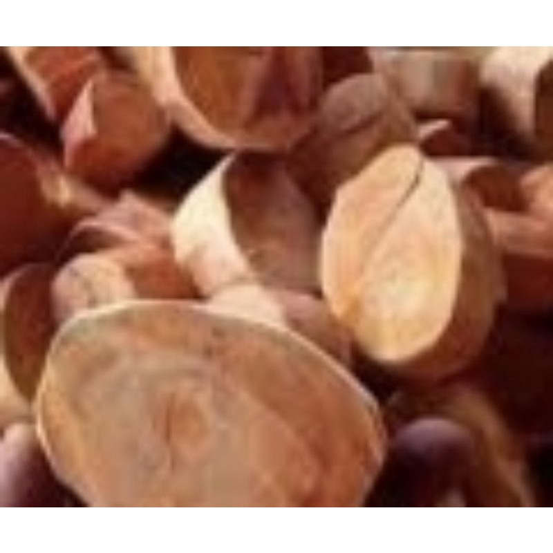 

100 Gram KAYU SECANG FULL MERAH Bentuk KOIN Bahan Teh Alami Herbal