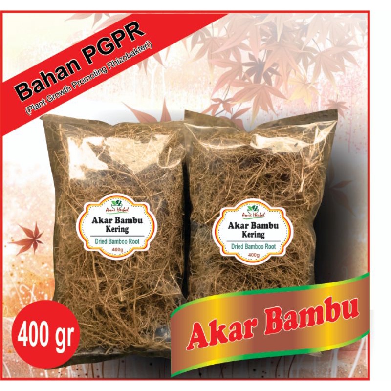 akar bambu bahan PGPR (Plant Growth Promoting Rizhobacteri). 400 gram.