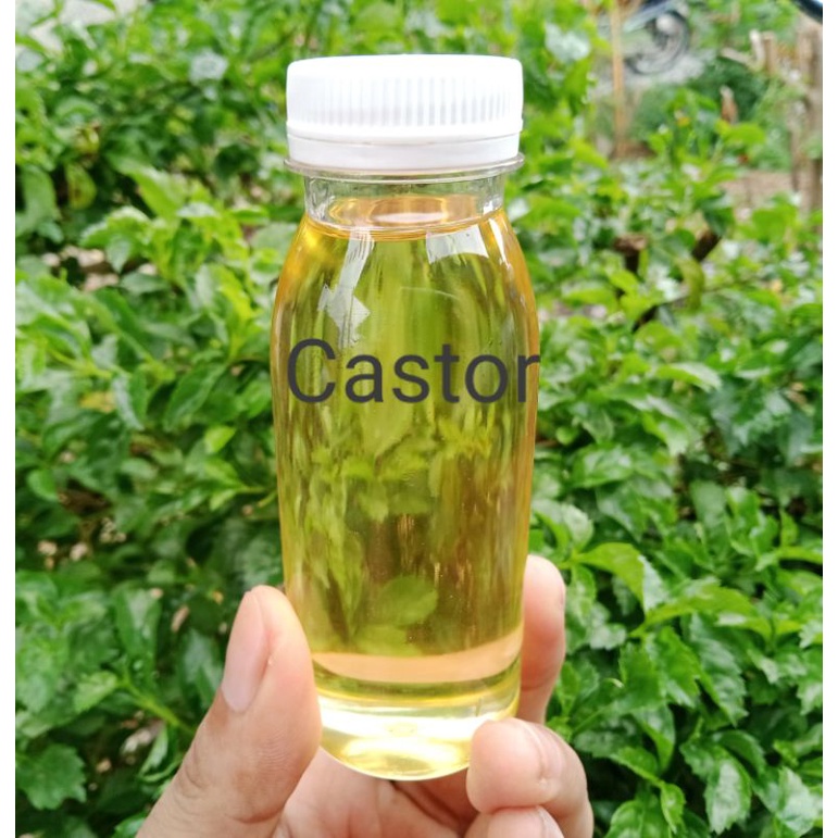 Pure Castor oil/minyak jarak murni 100ml