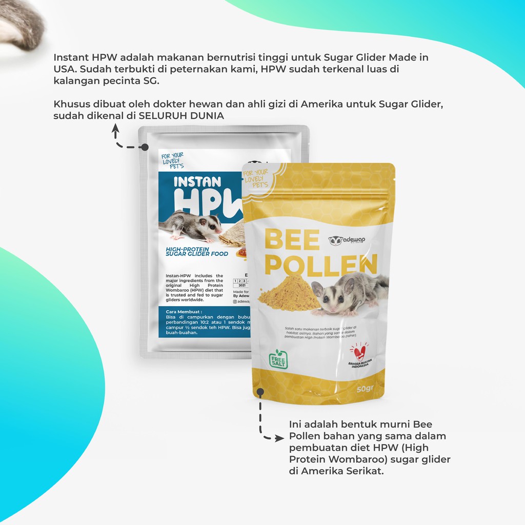 ADEWAP GLIDER Paket Hemat 2 Nutrisi Protein Wajib Sugar Glider