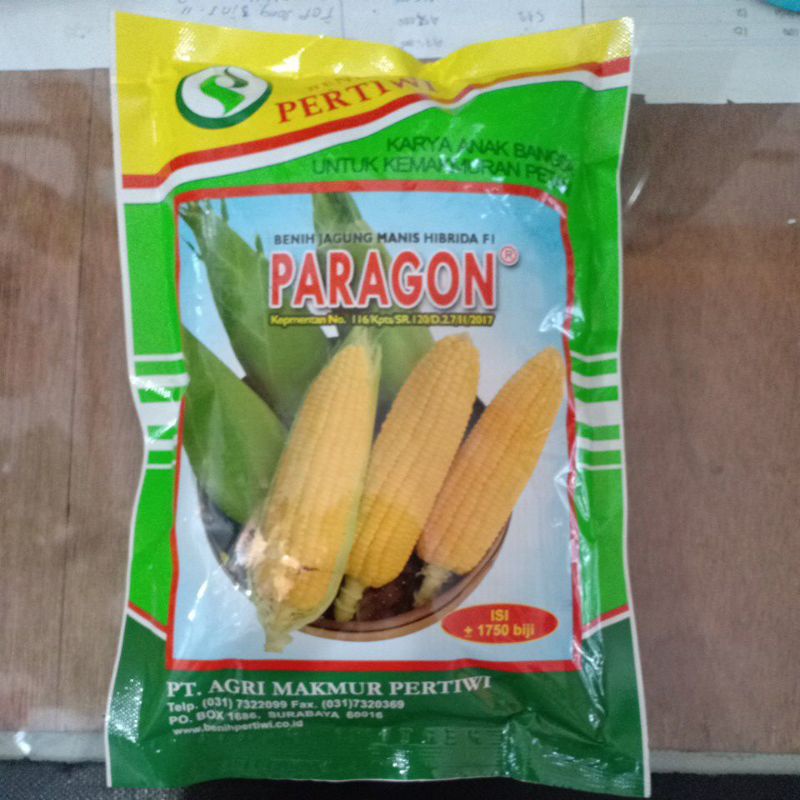 Benih jagung manis Paragon Pertiwi