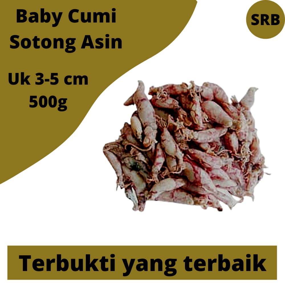 

Baby Cumi Asin Kering Medan Uk 3-5 cm 500 gram