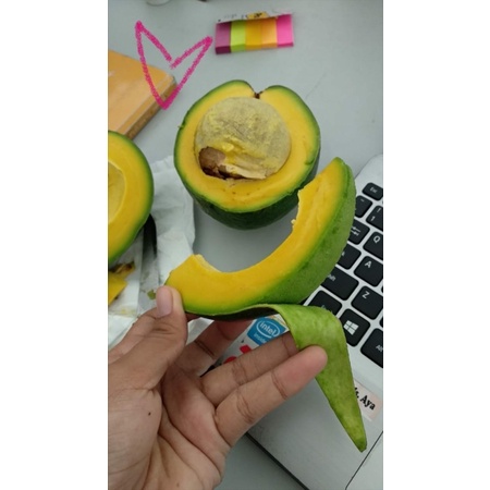 

Alpukat Mentega Miki Cipedak