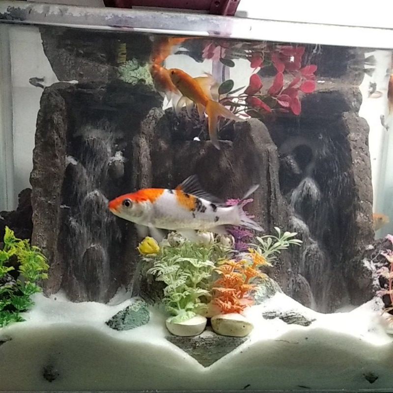 Tebing Air Terjun 2 Lubang mancur Waterfall Aquascape Aquarium