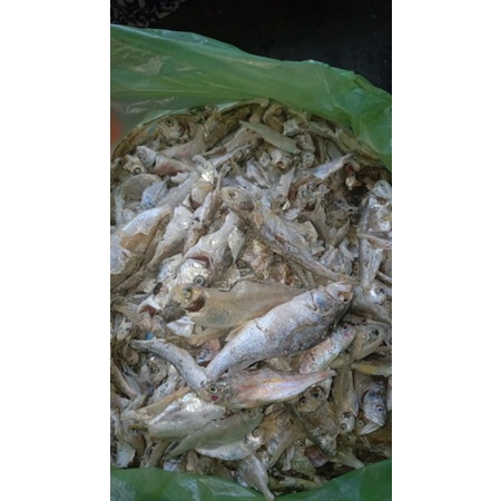 

Ikan campur/ ikan rebus / ikan sampah Medan Murah