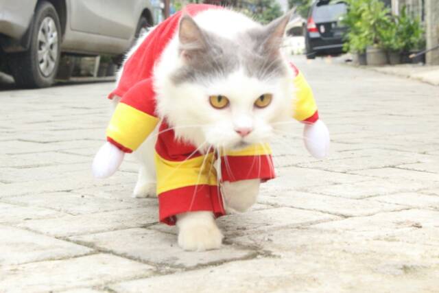 Kostum ironman untuk kucing / baju kucing anjing / kostum kucing size S M L XL