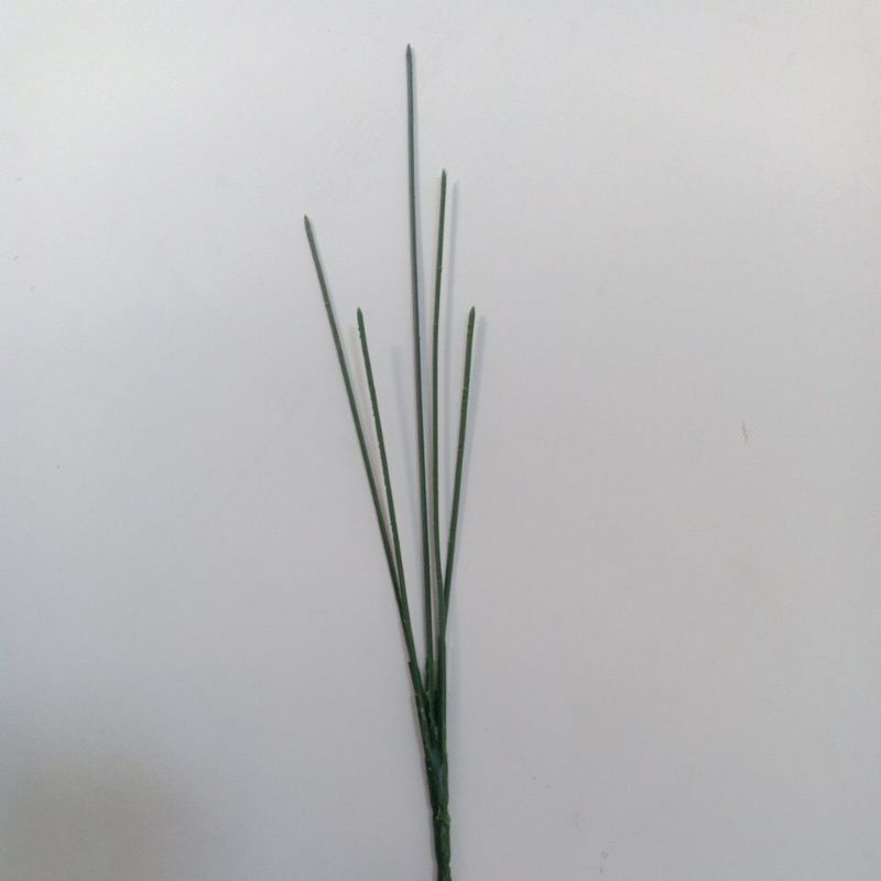 tangkai bunga cabang 5