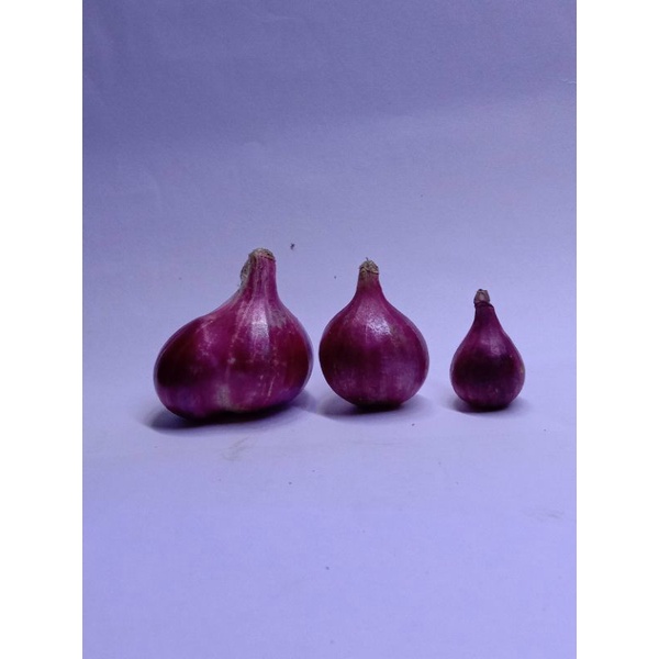 

Bawang Merah Kecil 500g