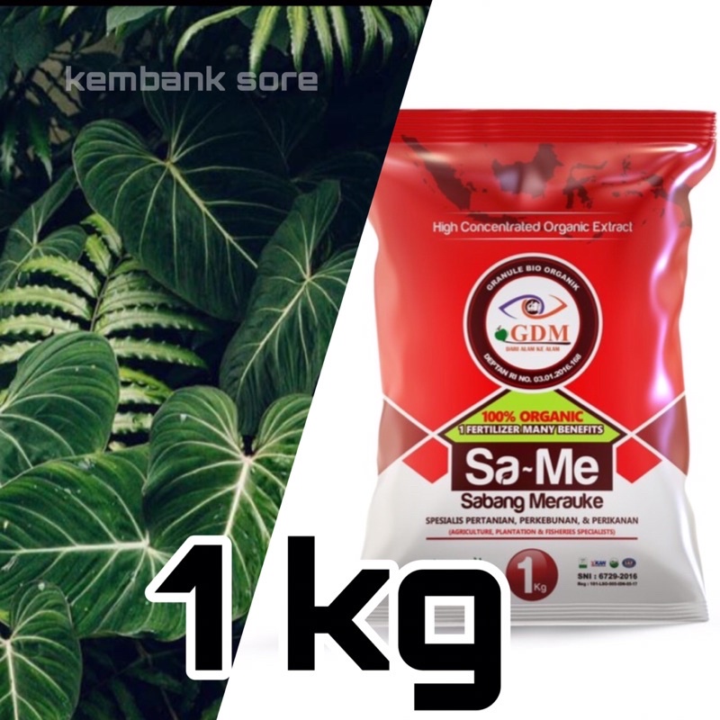 GDM SAME Pupuk padat tanaman 1kg