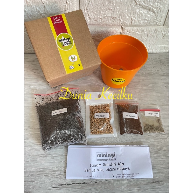 Paket Rumput Kucing Tanam Sendiri DIY Rumput Kucing Rumput Gandum