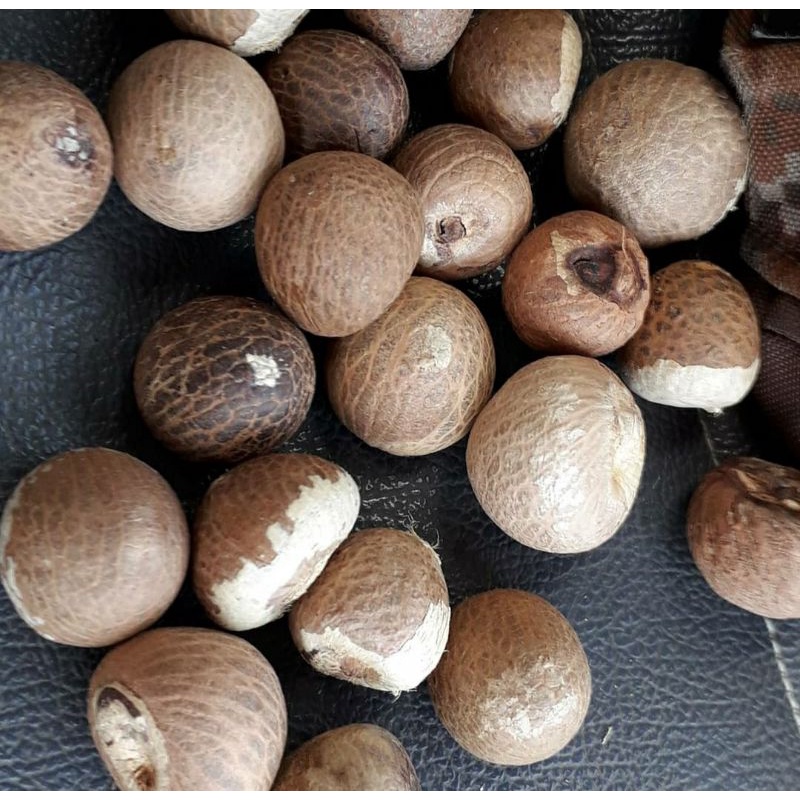 

Pinang bulat 1kg terbaik banyak manfaat