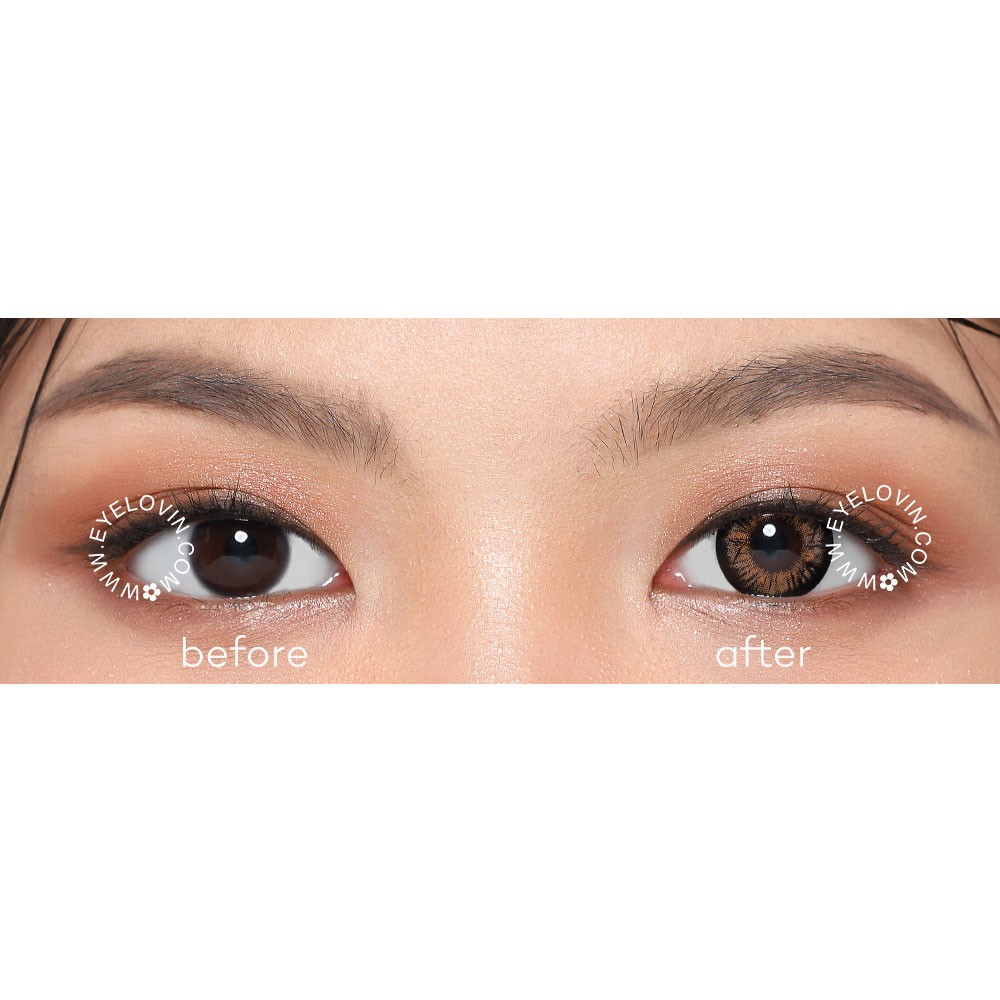 EYELOVIN Softlens Mite Clair - V Check Brown