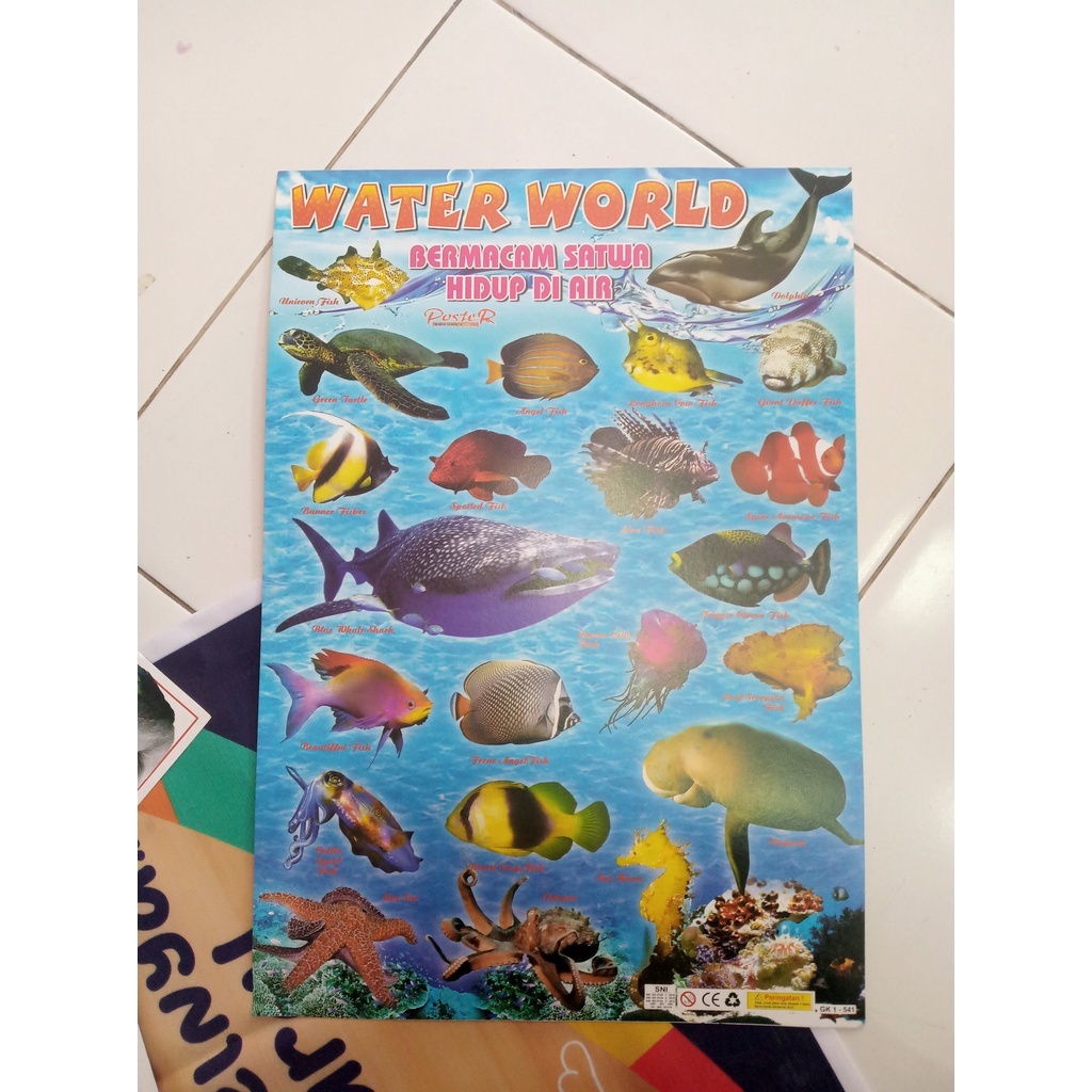 

Poster Binatang | poster gambar hewan | matapenamedia