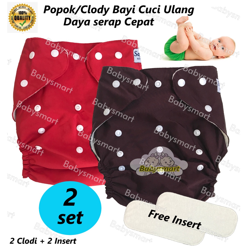 2 Pcs Clodi / Popok Celana Bayi Kain Cuci Ulang / Baby Diaper Pant / Celana Lampin Free Insert kualitas Premium usia 1 - 36 bulan