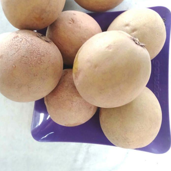 

SALE✅Sawo Super Padang Manis murah|RA2
