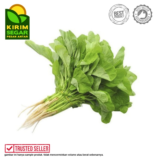 

Bayam Hijau Segar / Bayam / Sayur Bayam / Green Spinach / Ikat