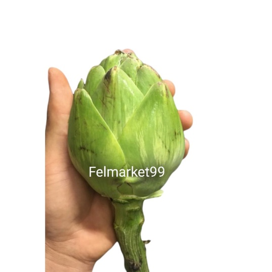 

Artichoke fresh -+ 300 grm | pcs
