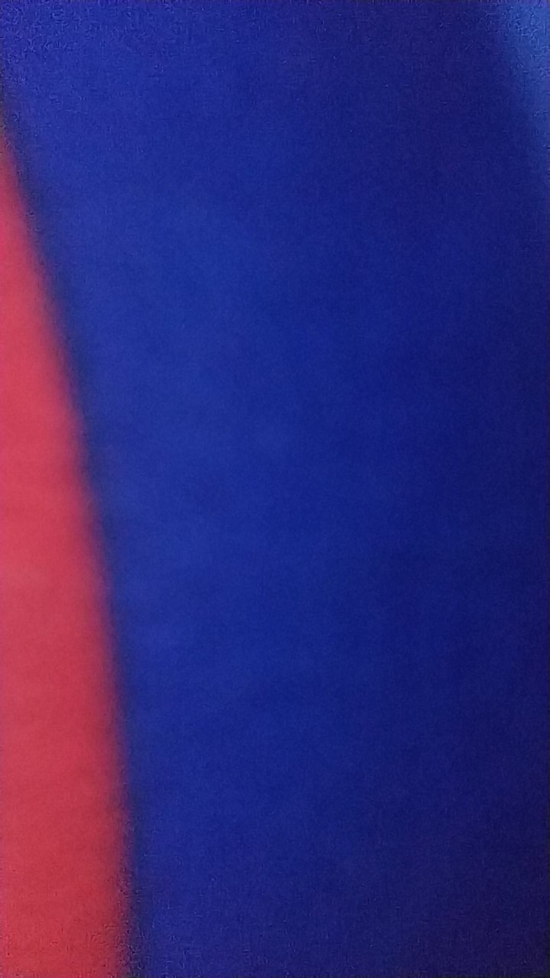 [tu] Kantong Zip Lock Transparan Bunga Daisy - Hw0115