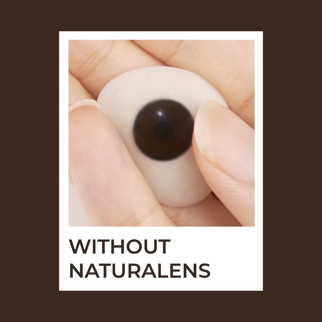 Naturalens Ruby Brown Softlens Biomoist (0 sd -10) Softlens Contact Lens