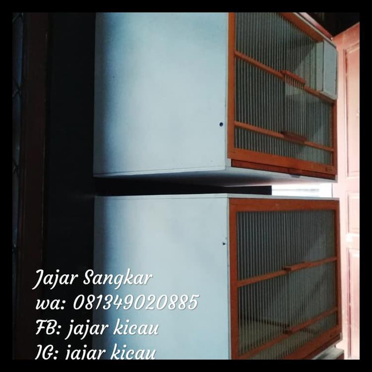 Terpercaya Box Kandang Breeding, Ternak Kenari Bongkar Pasang Ready Stock