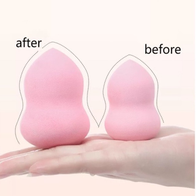 Makeup Sponge Powder Puff Dry and Wet Combined Beauty Cosmetic Ball Foundation