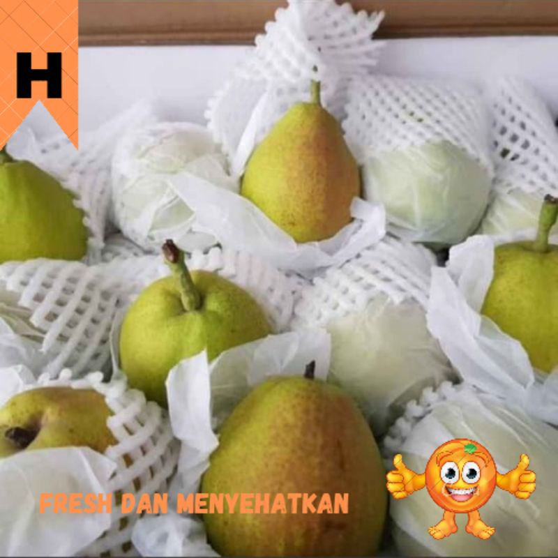 BUAH PIR XIANGLIE 1000 GRAM