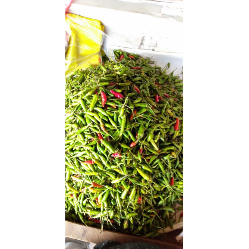 

Cabe Rawit 1Kg an