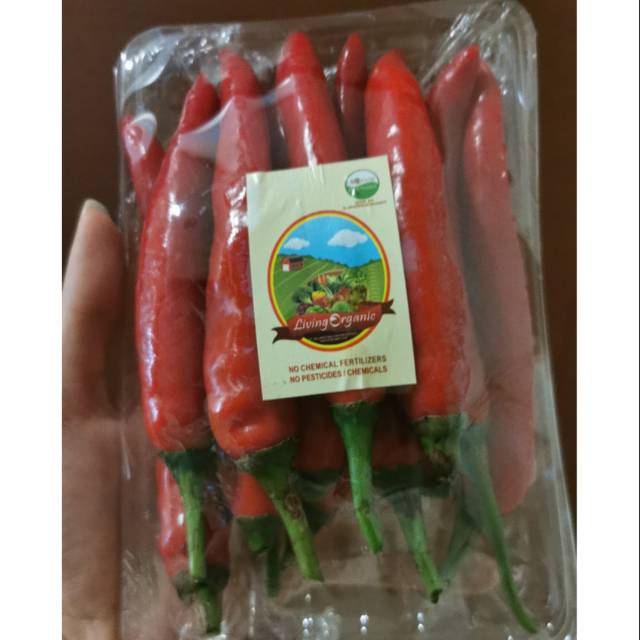

Cabe Merah Besar 200gr Sayur Organik