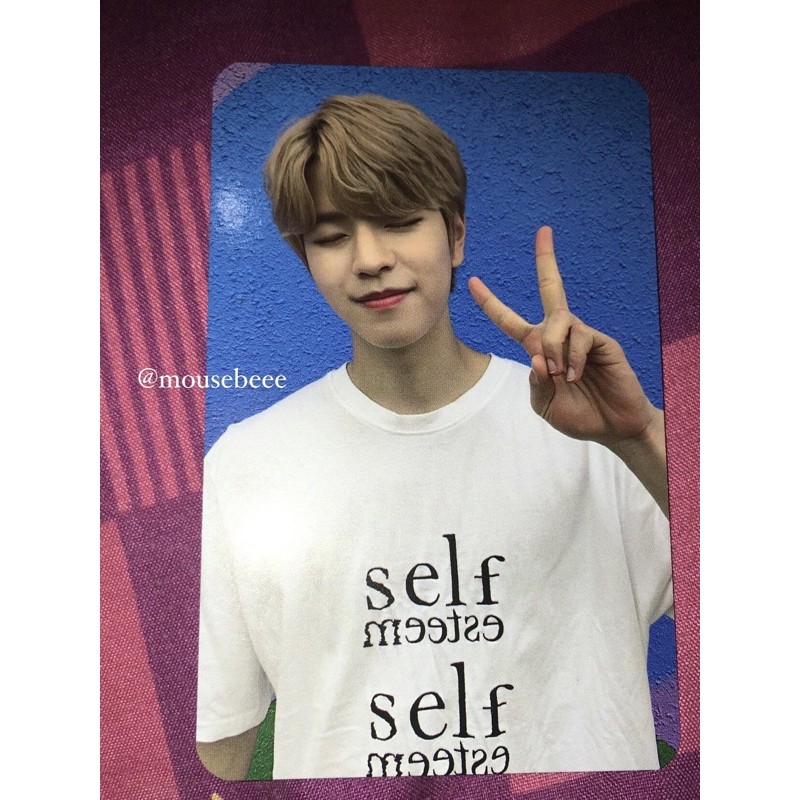 Photo Card Seungmin SWID