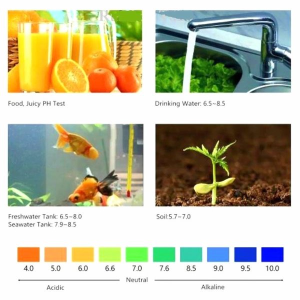 Alat Ukur Air Hidroponik PH Meter Tester ATC Kualitas Kadar Asam PPM