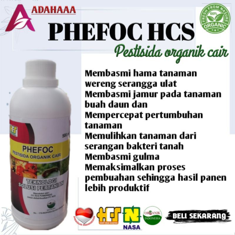 PHEFOC HCS ANTILAT PESTISIDA ORGANIK OBAT HAMA CABE PADI BUNGA DAN BUAH NASA