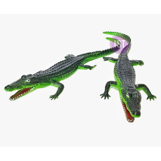 Crocodile Buaya Bunyi Karet