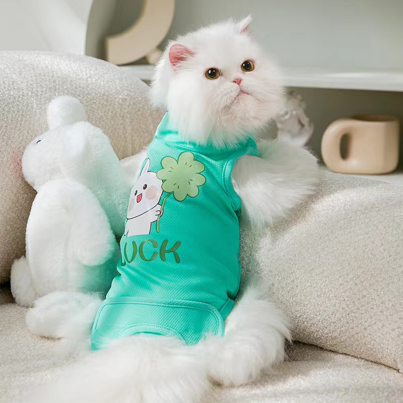 CLEARANCE PET ANJING KUCING HEWAN KELINCI DRESS BAJU LOOP MENSTRUAL LUCU KOREAN COUPLE PELAMPUNG TALI SEAT BELT